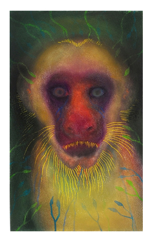 Jan Harrison, The Corridor Series Primate #28, 2009